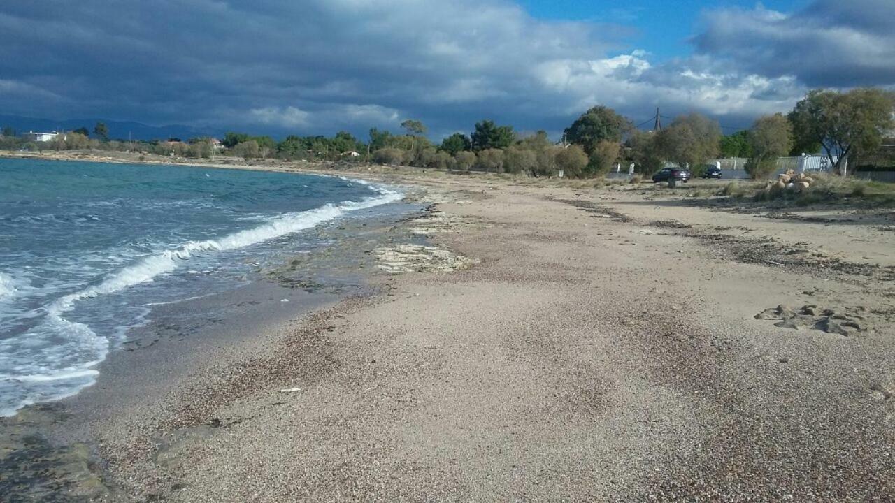 Villa Margiani Chalkida Bagian luar foto