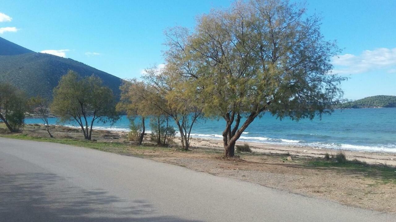 Villa Margiani Chalkida Bagian luar foto